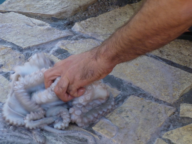 Octopus is beaten to soften it prior to cooking (Kastellorizo)
