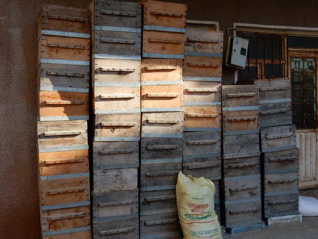Bee hives stacked in front of a farm house