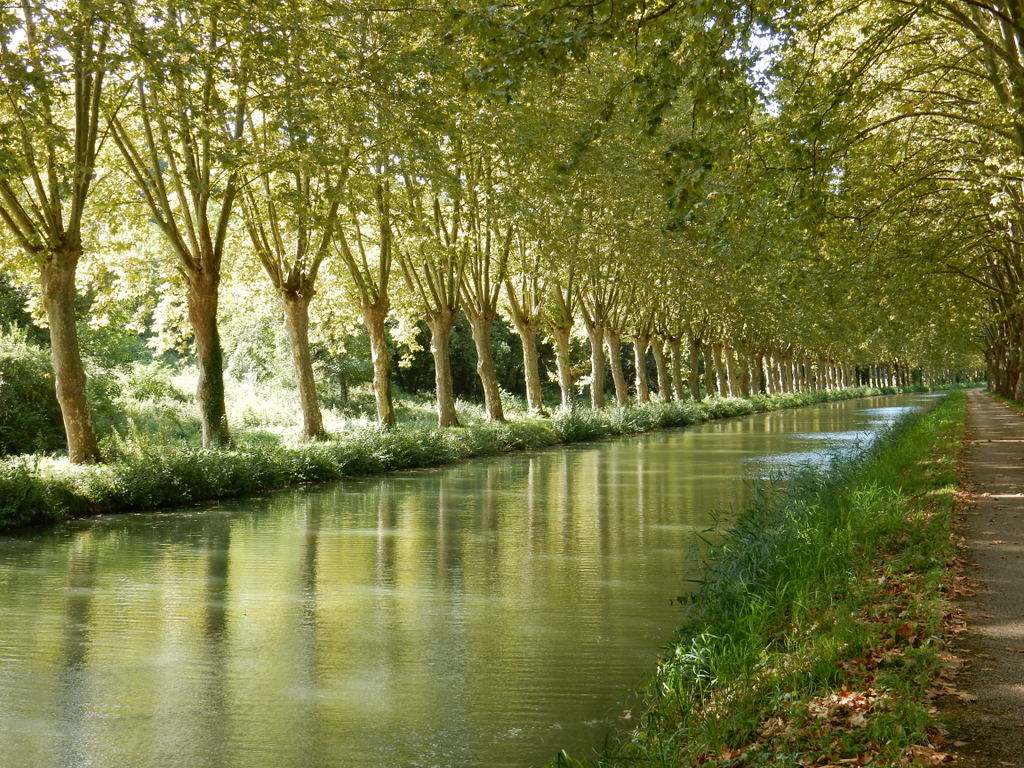 Canal du Midi near Lompian