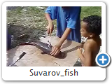 Suvarov_fish